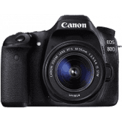 Canon EOS 80D 24.2MP Digital SLR Camera (Black) + EF-S 18-55mm STM Lens Kit + Memory card 