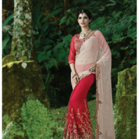 Red colour saree 	REDJ7F0I62